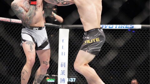 Combat : Un combattant attaque un spectateur après avoir mis KO son adversaire