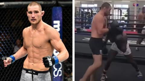 Défié par un boxeur pro sur Internet, le combattant UFC Sean Strickland lui inflige une correction