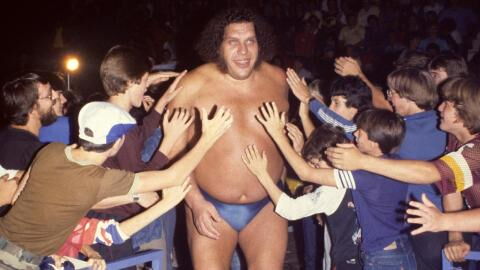 Les sportifs aux proportions physiques les plus impressionnantes au monde !