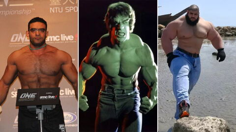 Hulk