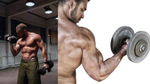 Curl haltère : exercices et mouvements pour se muscler les biceps