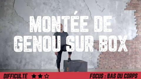 Montée de genou sur box : exercice pour travailler le bas du corps