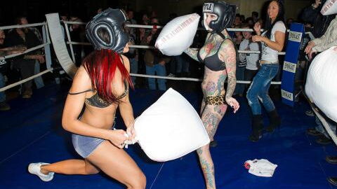 Batailles d'oreillers : un sport de combat professionnel officiellement créé