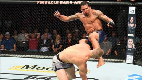 UFC Tampa : les plus beaux KOs des athlètes combattant ce week-end