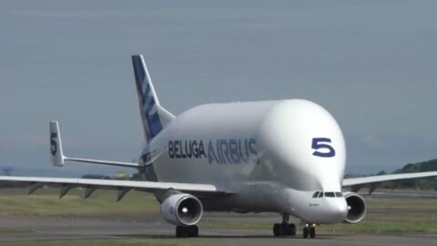Airbus Beluga Transport obtient son certificat de transporteur aérien
