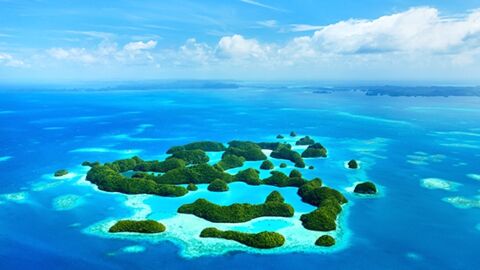 Pour protéger le corail, ces îles paradisiaques interdisent la crème solaire