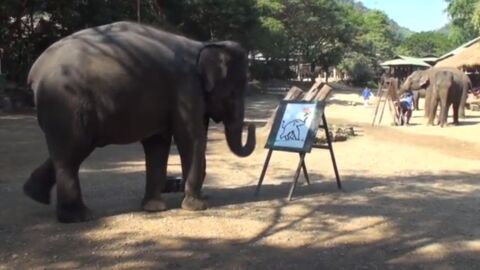 Un éléphant fait de la peinture en Thaïlande !