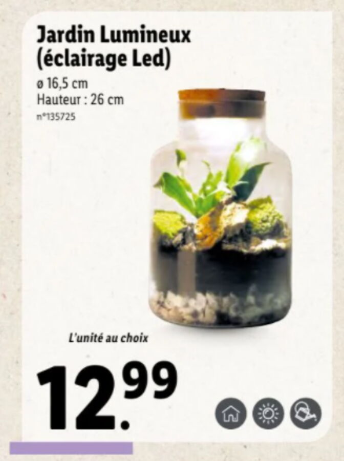 Lidl ce terrarium lumineux à moins de 13 euros est parfait pour votre