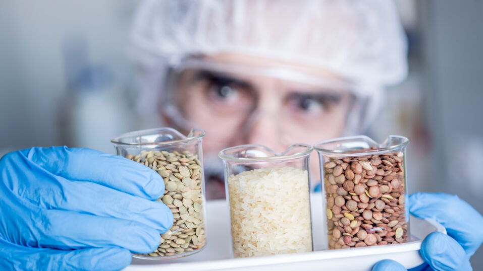 Ice cream healthier than multigrain bagel New study reveals surprising