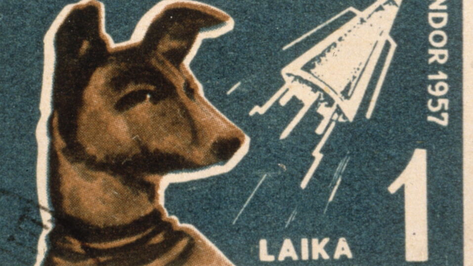 'First dog in space' The dark reality of what happened to Laika