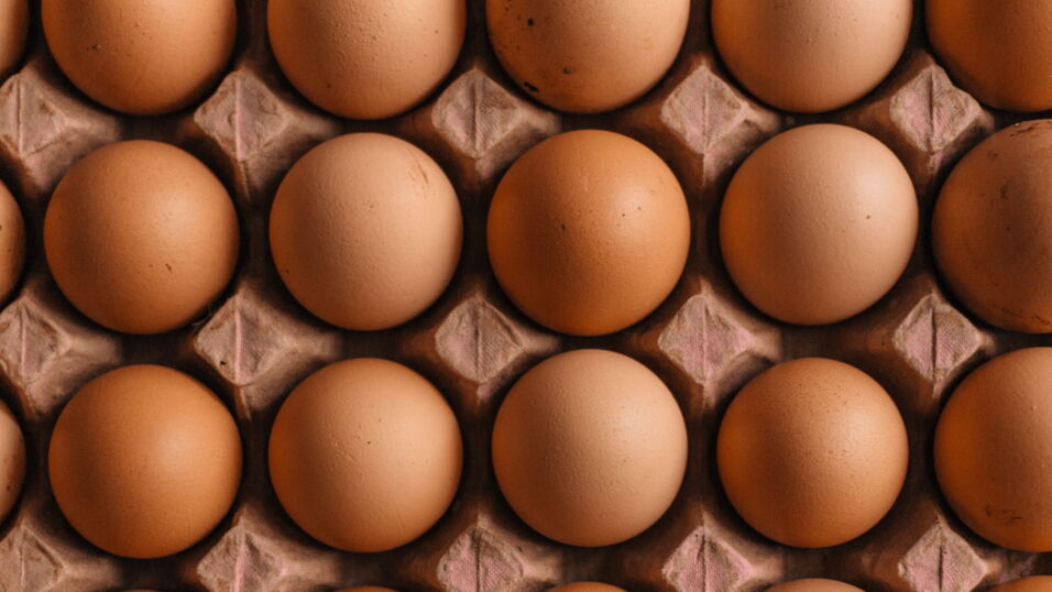 Never wash your eggs before cooking due to this serious health hazard