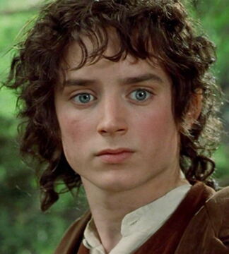 Frodon Sacquet - incarné par...