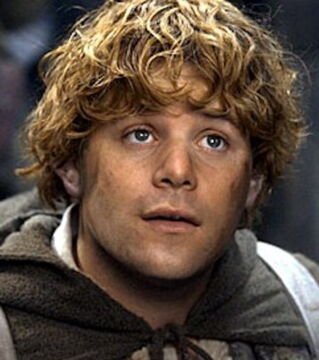 Sam Gamegie - incarné par...