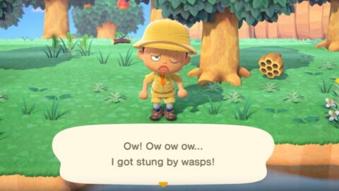 10. Faites attention aux araignées et aux guêpes