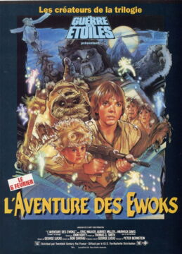 13 - L'Aventure des Ewoks (1984)
