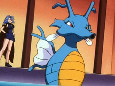 13. Hyporoi, l'hyppocampe fou