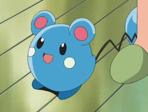 3e : Azurill, même son type est décevant