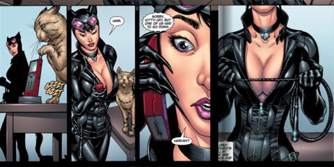 Catwoman dans Arkham Unhinged