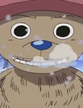 7ème : Tony Tony Chopper, le renne à la tête... d'ourson