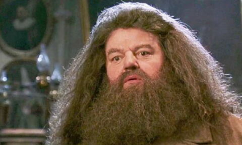 8. La barbe d'Hagrid n'était pas naturelle