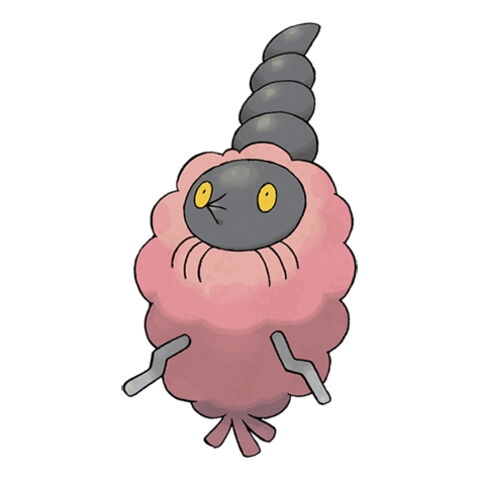 8e : Cheniti Cape Déchet