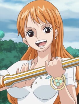 8ème : Nami, la Chatte Voleuse