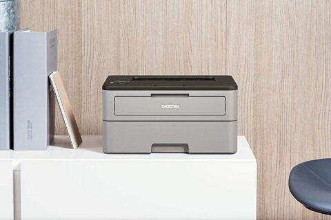 Brother HL-L2310D Imprimante laser compacte