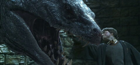 6. Comment se fait-il que le venin du Basilic n'ait pas tué immédiatement le Harry-Horcruxe lorsqu'il s'est fait mordre ?