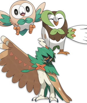 Évolution de Brindibou en Effleche, puis Archéduc