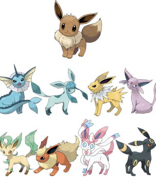 Évolution multiple d'Evoli : Aquali, Voltali, Pyroli, Mentali, Noctali, Phyllali, Givrali, Nymphali