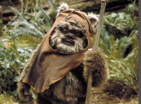 Ewok Wicket - Le Retour du Jedi