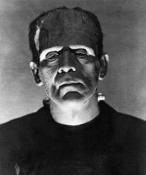 Frankenstein (1931)