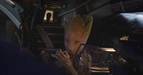 Groot
