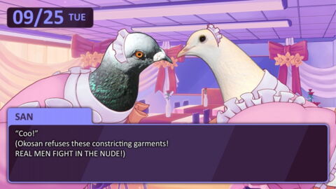 Hatoful Boyfriend (2011, PC)