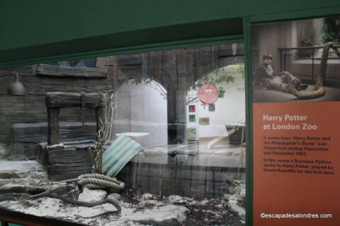 Libérez un serpent (ou pas) au Zoo de Londres