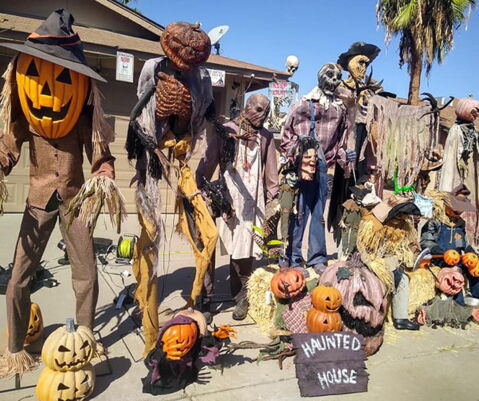 Des voisins pas très amicaux