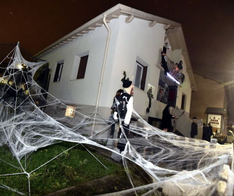 Des toiles d'araignées cauchemardesques dans les Vosges