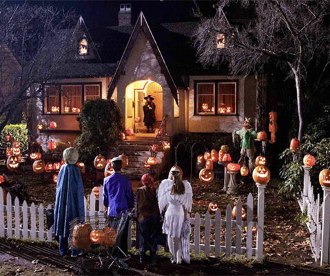 Encore PLUS de citrouilles