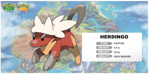 Pokémon Australien : Herdingo