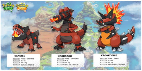 Pokémon Australien : Sandile / Krokorok / Krookodile