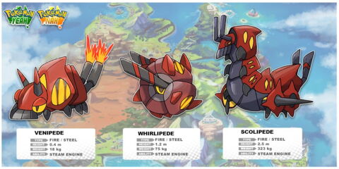 Pokémon Australien : Venipede / Whirlipede / Scolipede