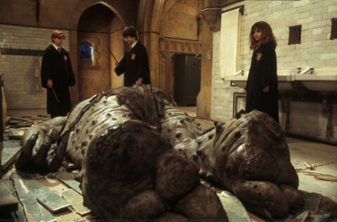 20. Pourquoi Hermione a pris un blâme pour avoir poursuivi le troll dans les toilettes ?