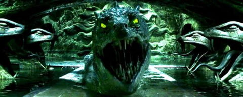 14. Quelle est la taille des tunnels à Poudlard ?