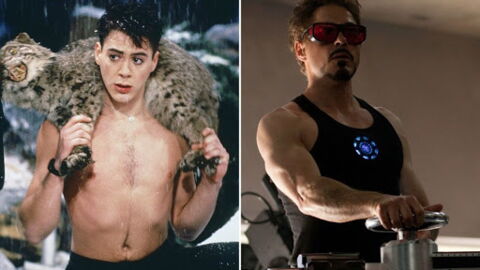 Robert Downey Junior (Tony Stark - Iron Man)