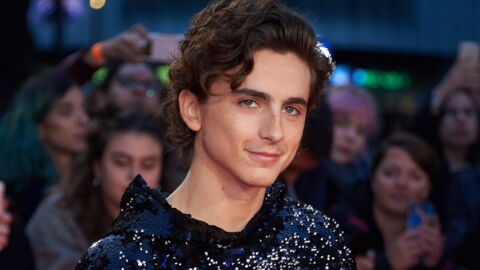 Timothée Chalamet, 24 ans et déjà tête d'affiche