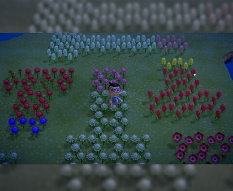 Un magnifique jardin en forme de... pénis ?