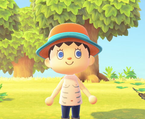 Un mod topless dans Animal Crossing
