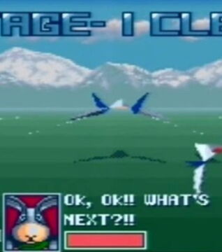 Star Fox (Super Nintendo) - 1000€