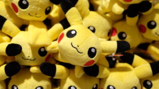 Pokémon dévoile une nouvelle peluche à la forme très tendancieuse