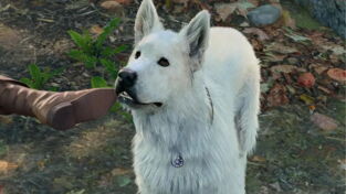 Voici le dialogue le plus triste de l'histoire du jeu vidéo, ça nous brise le cœur